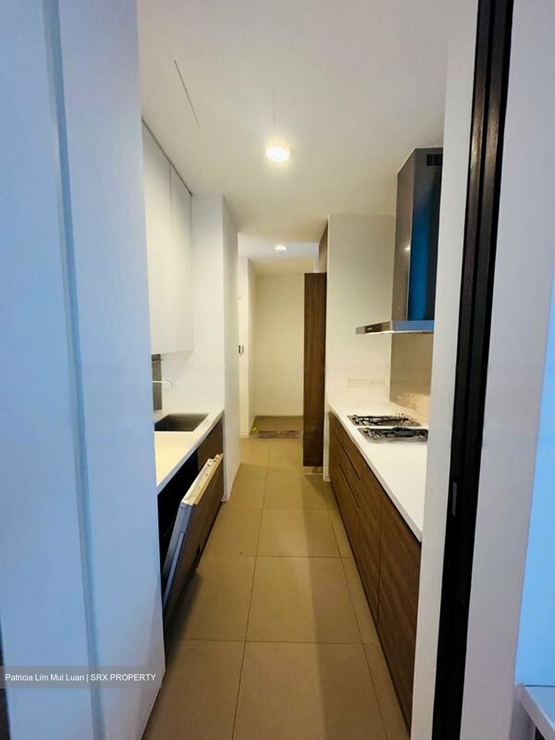 Leedon Residence (D10), Condominium #454083201